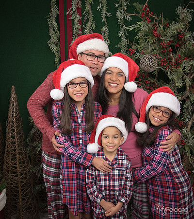 2017-Navidad-181