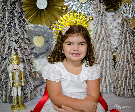 Navidad 2014-1329