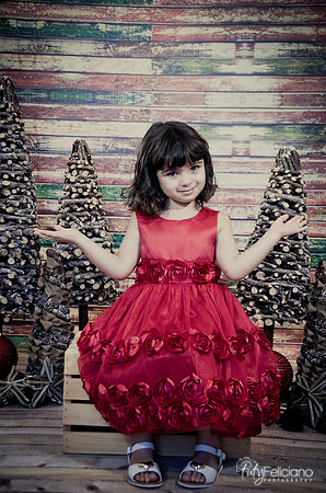 Navidad2014-121564
