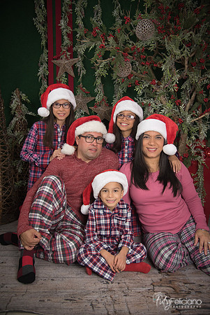 2017-Navidad-182
