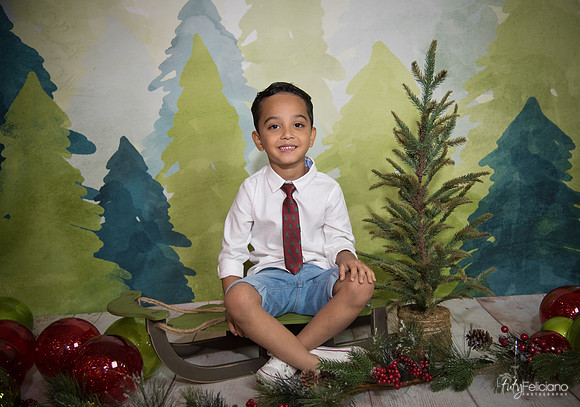 16navidad-145