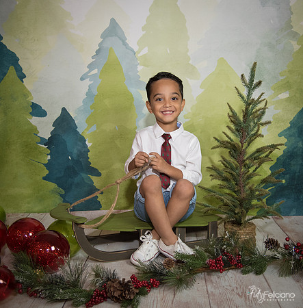 16navidad-123