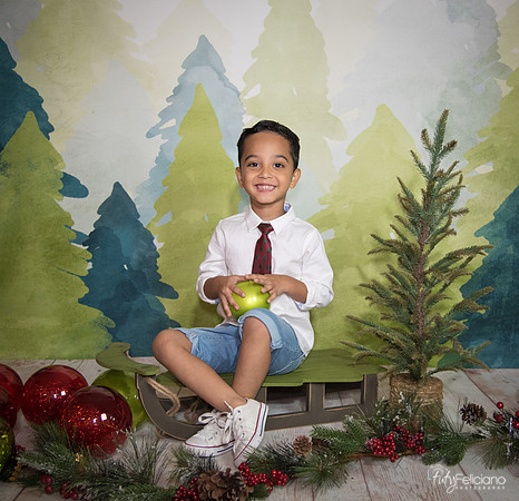 16navidad-97