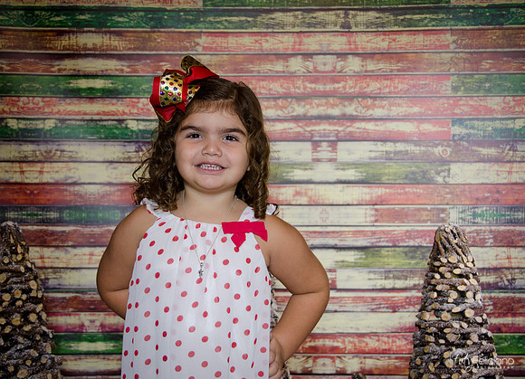 Navidad 2014-1191