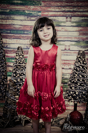 Navidad2014-121547