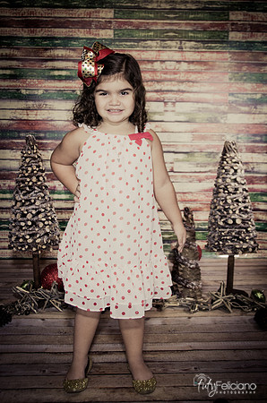 Navidad 2014-1147
