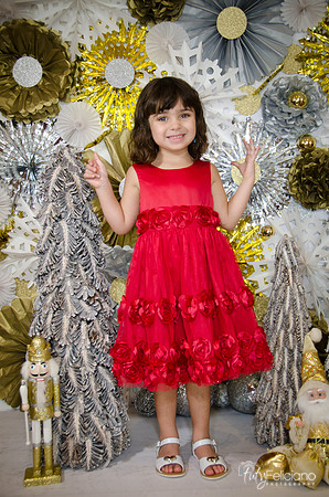 Navidad2014-121639