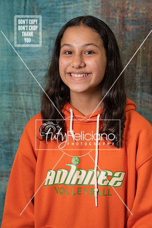 Adianez 4-2739