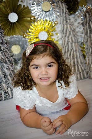 Navidad 2014-1443