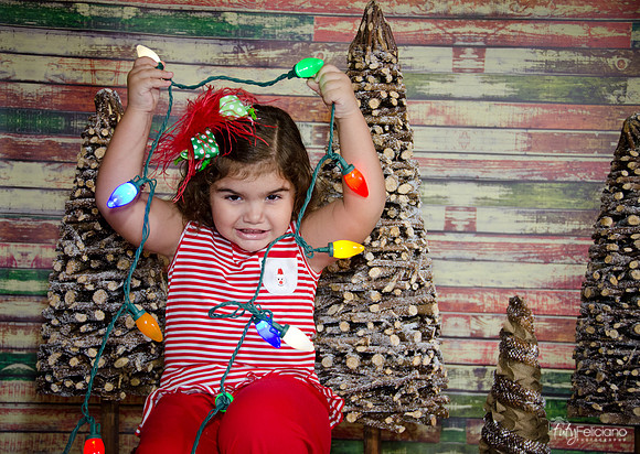 Navidad 2014-1580