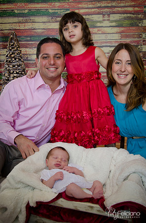 Navidad2014-121846