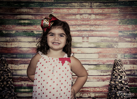 Navidad 2014-1190