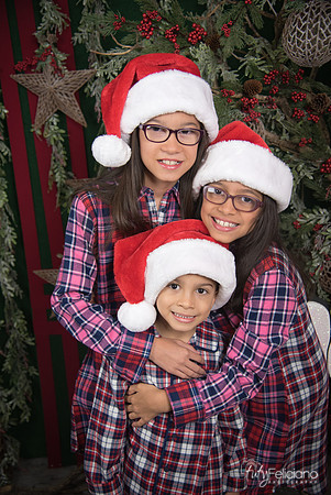 2017-Navidad-168