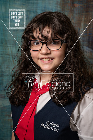 Adianez 3-1671