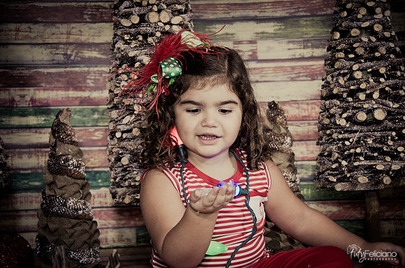 Navidad 2014-1613