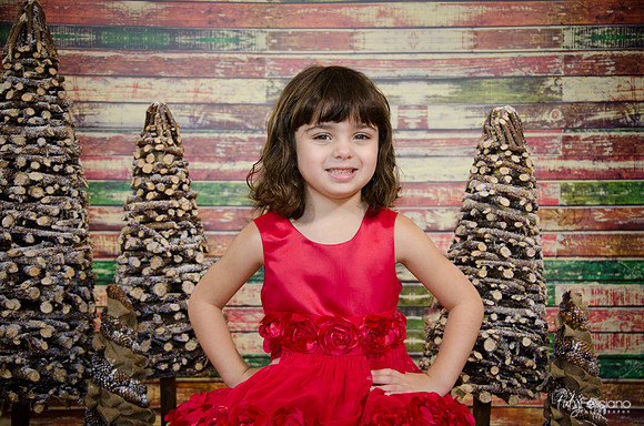 Navidad2014-121616