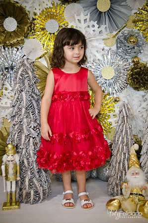 Navidad2014-121634