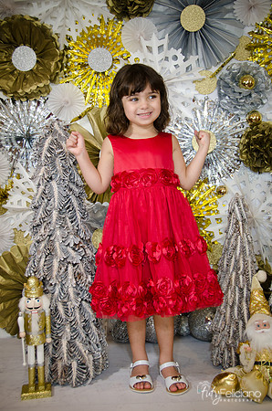 Navidad2014-121642