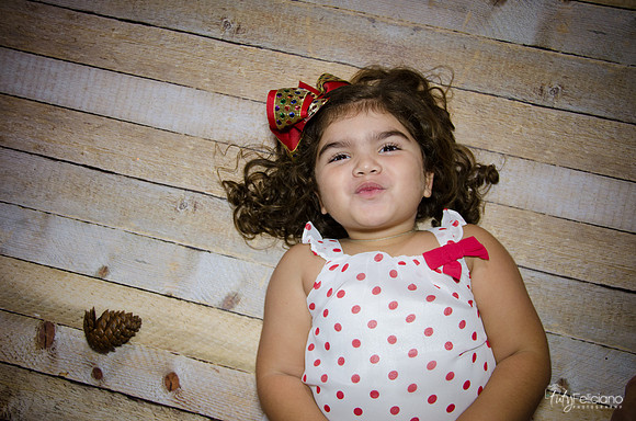 Navidad 2014-1133