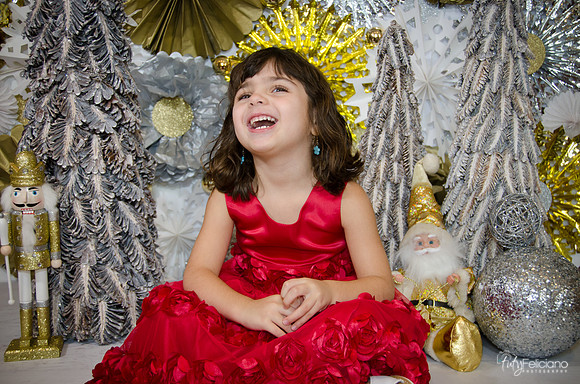 Navidad2014-121695