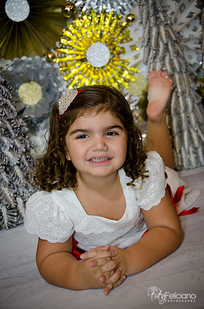 Navidad 2014-1425
