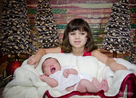 Navidad2014-121784