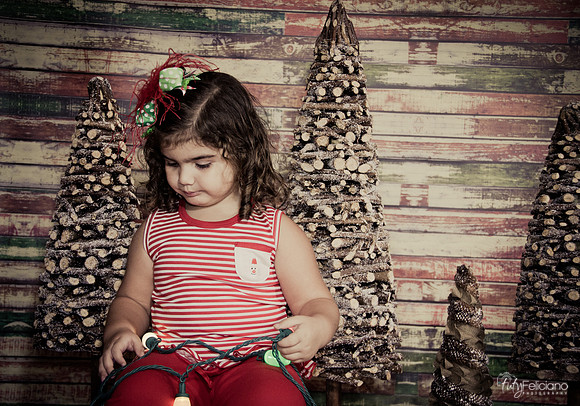 Navidad 2014-1575