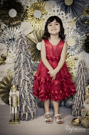 Navidad2014-121647