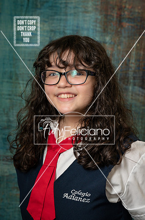 Adianez 3-1667