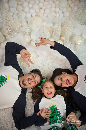 2018-fam-281