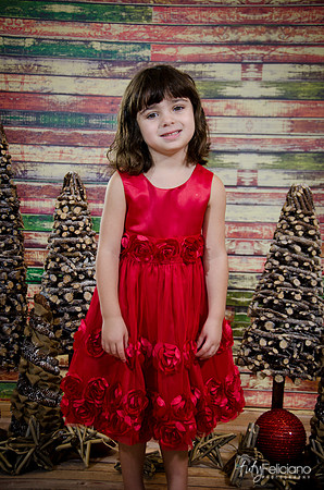 Navidad2014-121548