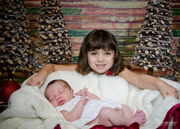 Navidad2014-121796