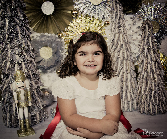 Navidad 2014-1330