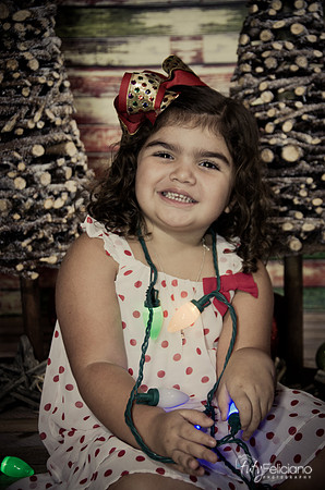 Navidad 2014-1064
