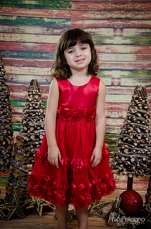 Navidad2014-121546