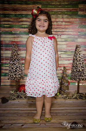 Navidad 2014-1140
