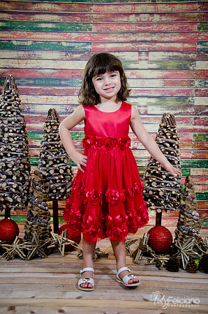 Navidad2014-121526