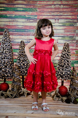 Navidad2014-121529