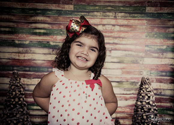 Navidad 2014-1209