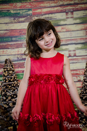 Navidad2014-121541