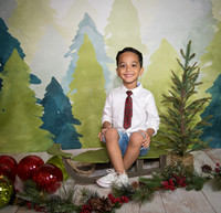 16navidad-79