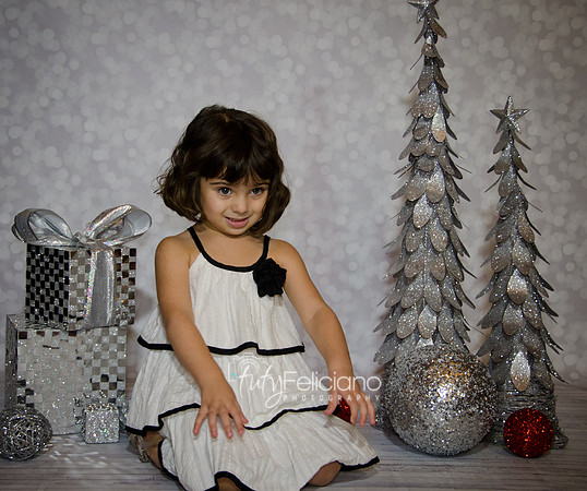 Shooting navideno-4328