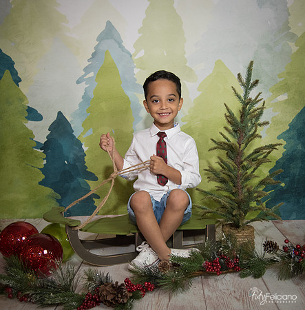 16navidad-118