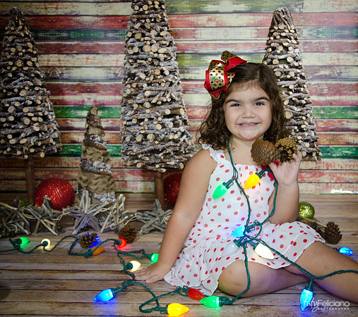 Navidad 2014-1054