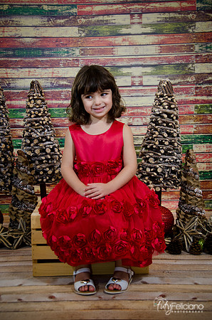 Navidad2014-121549