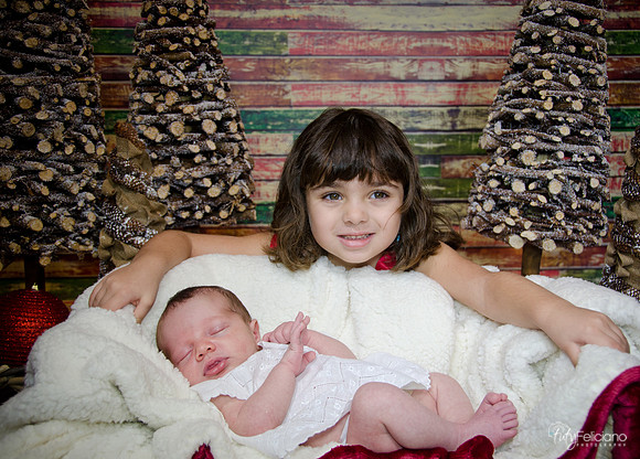 Navidad2014-121797