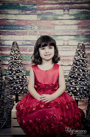 Navidad2014-121554