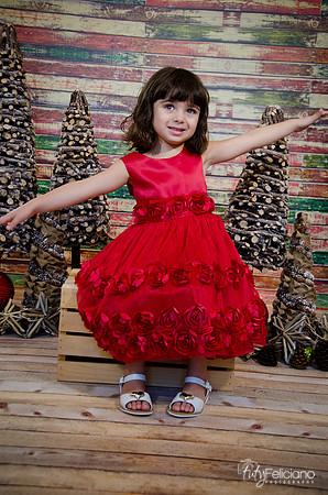 Navidad2014-121572