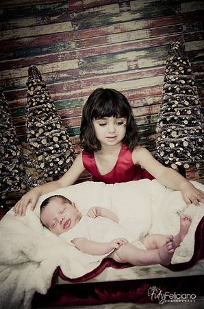 Navidad2014-121766