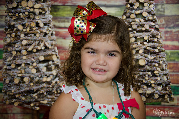 Navidad 2014-1076